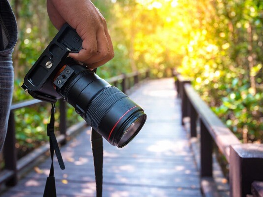 main tenant apparaît photo en nature