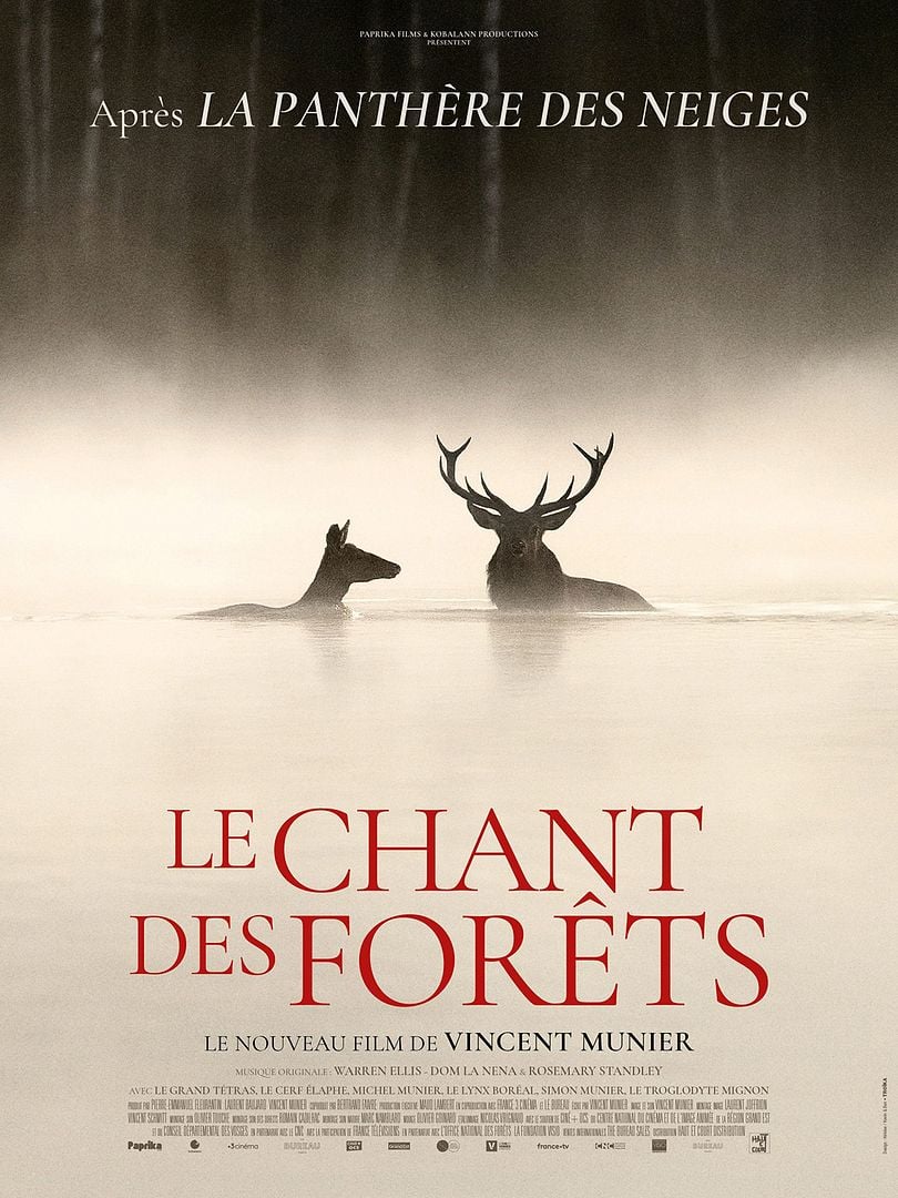 affiche le Chant des Forêts
