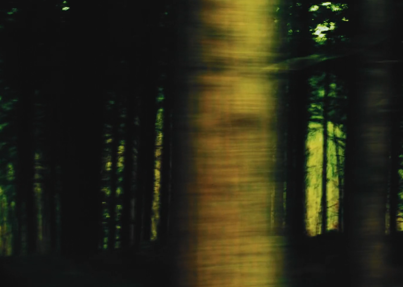 image du film Pourquoi vis-tu dans ce pays qui m'a tué ?