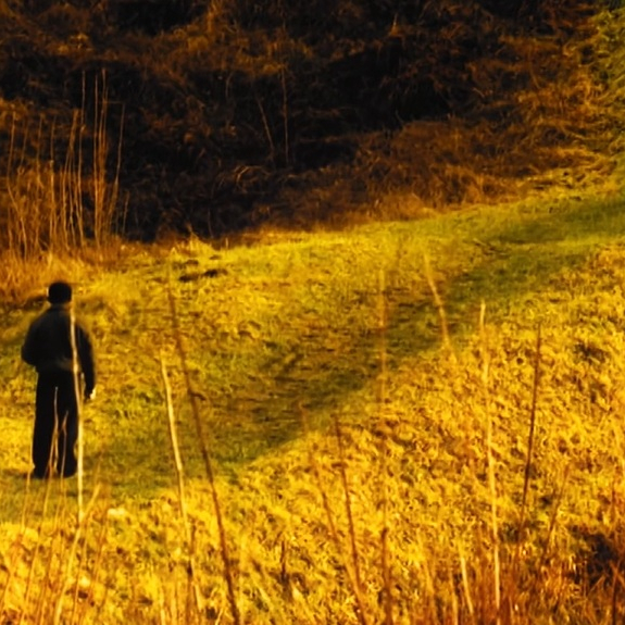image du film Pourquoi vis-tu dans ce pays qui m'a tué ?