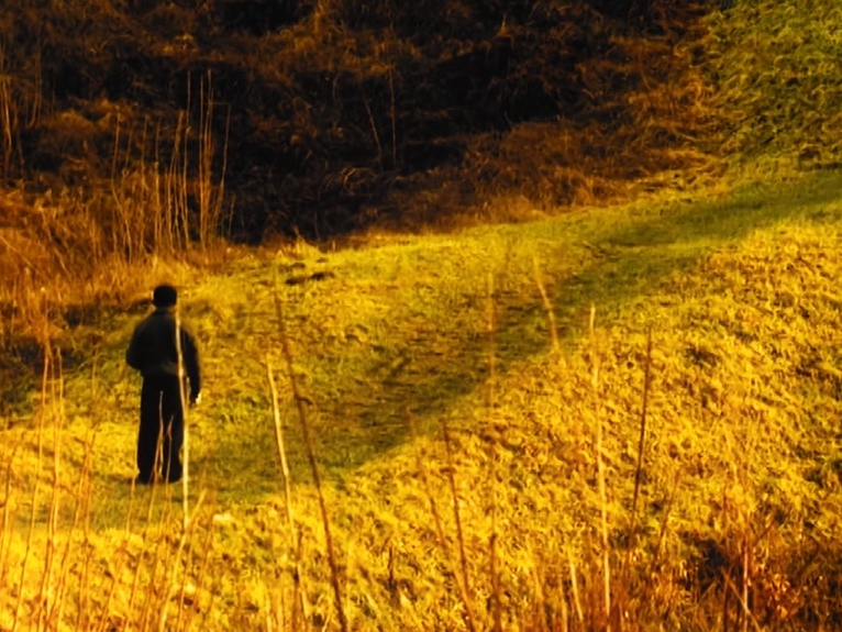 image du film Pourquoi vis-tu dans ce pays qui m'a tué ?