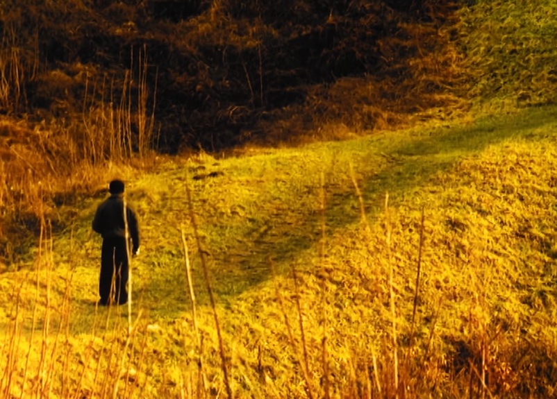 image du film Pourquoi vis-tu dans ce pays qui m'a tué ?