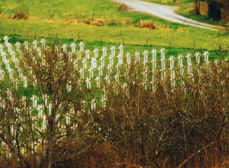 image du film Pourquoi vis-tu dans ce pays qui m'a tué ?