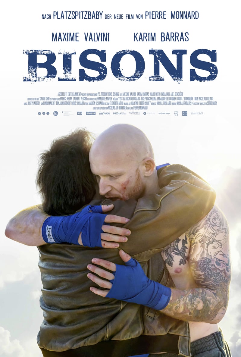 Affiche Bisons