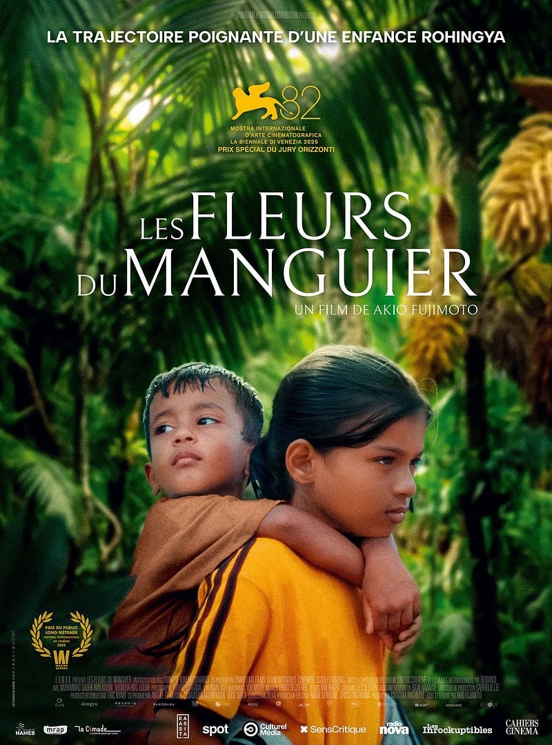 affiche les fleurs du manguier
